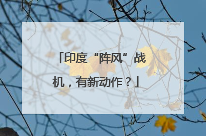 印度“阵风”战机，有新动作？